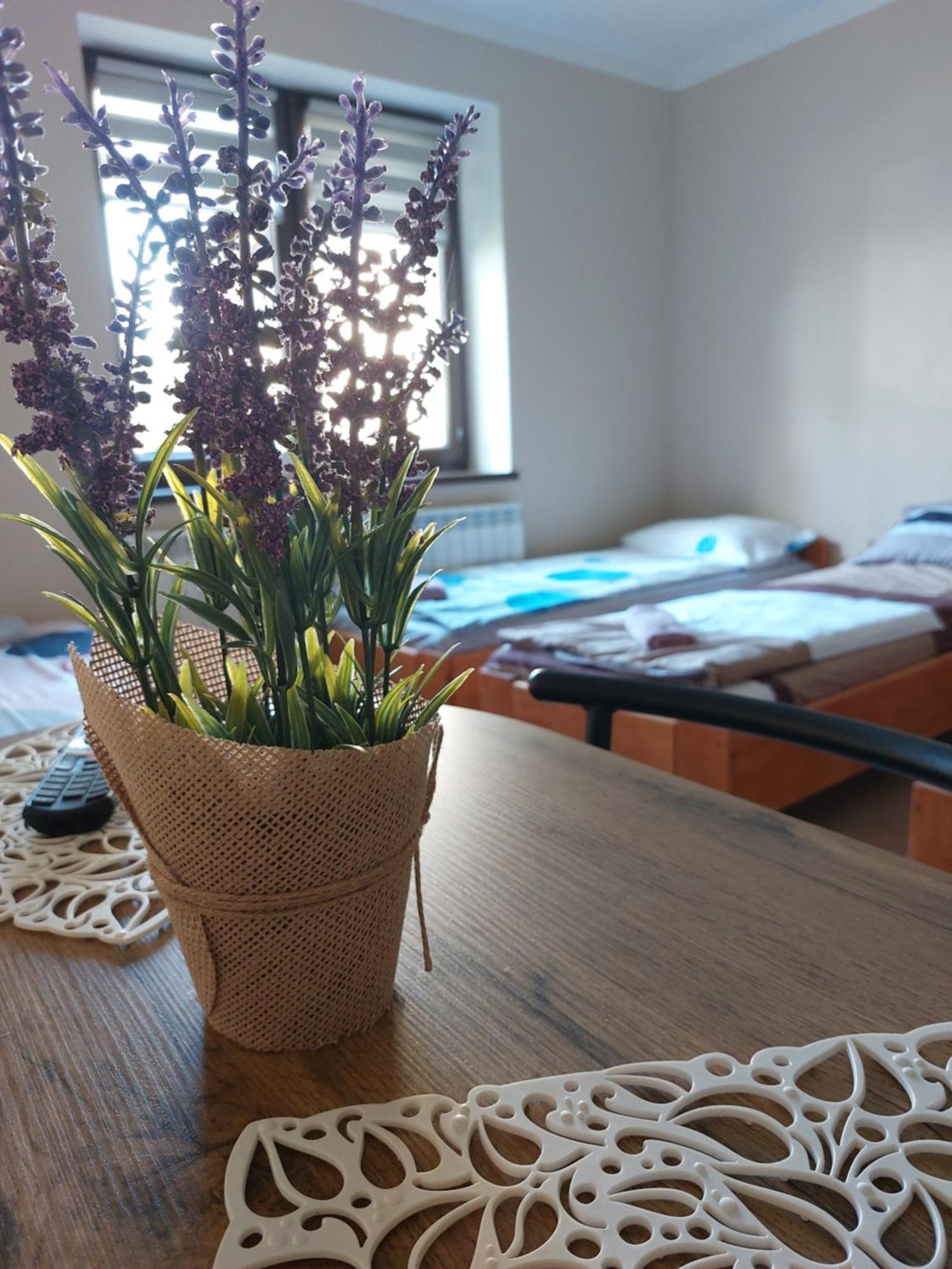 Lawendowy Zakatek Apartment Graboszyce Екстериор снимка